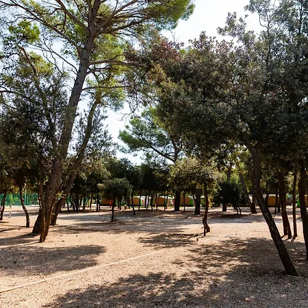 Park Soline Pitches Biograd Na Moru